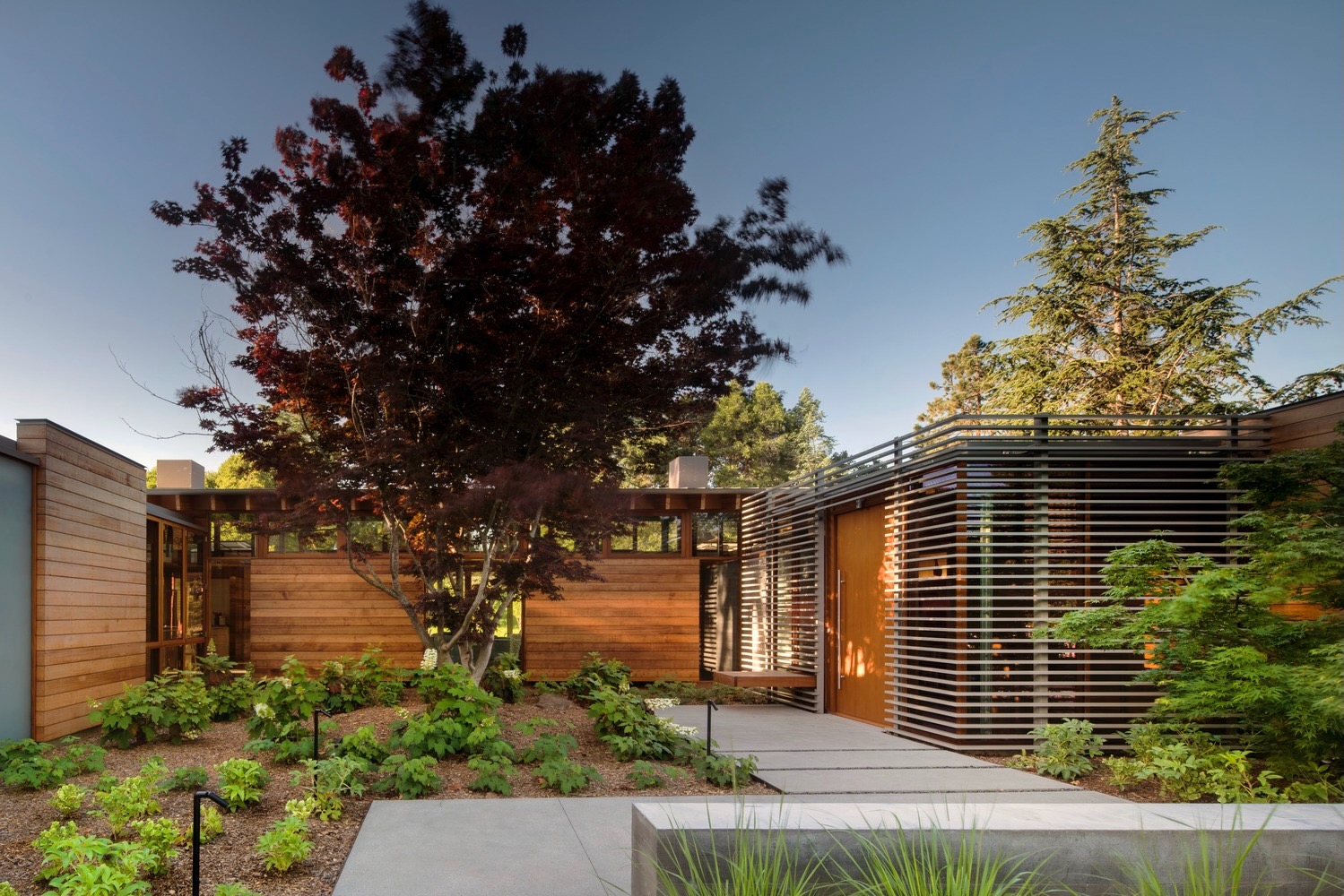 Sheltered timber entrance set within a landscaped courtyard