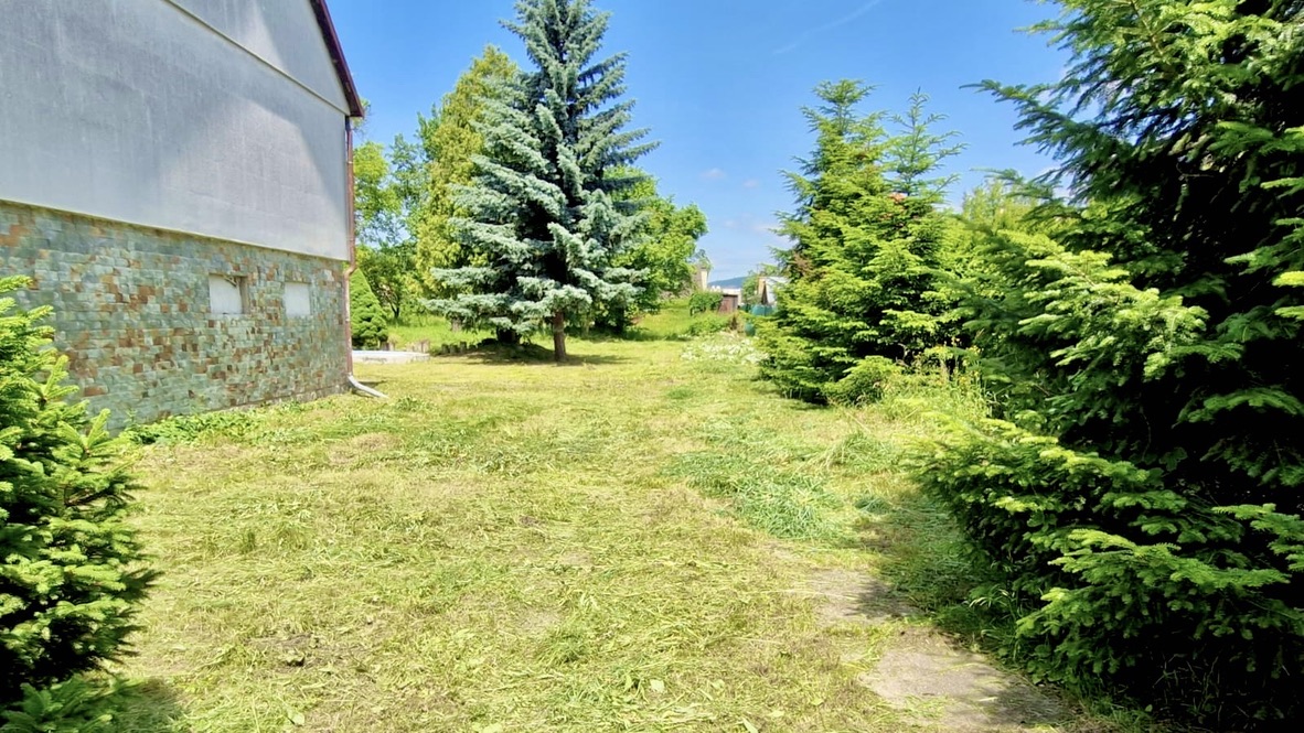 Open yard next to the house
