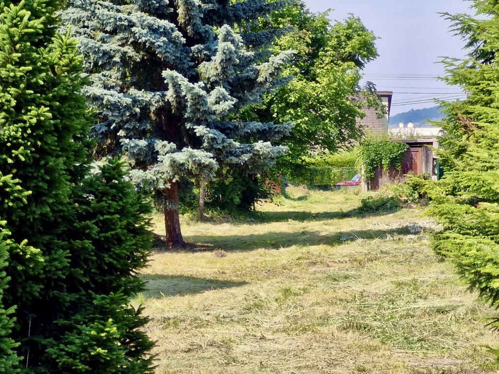 Deep garden between two streets